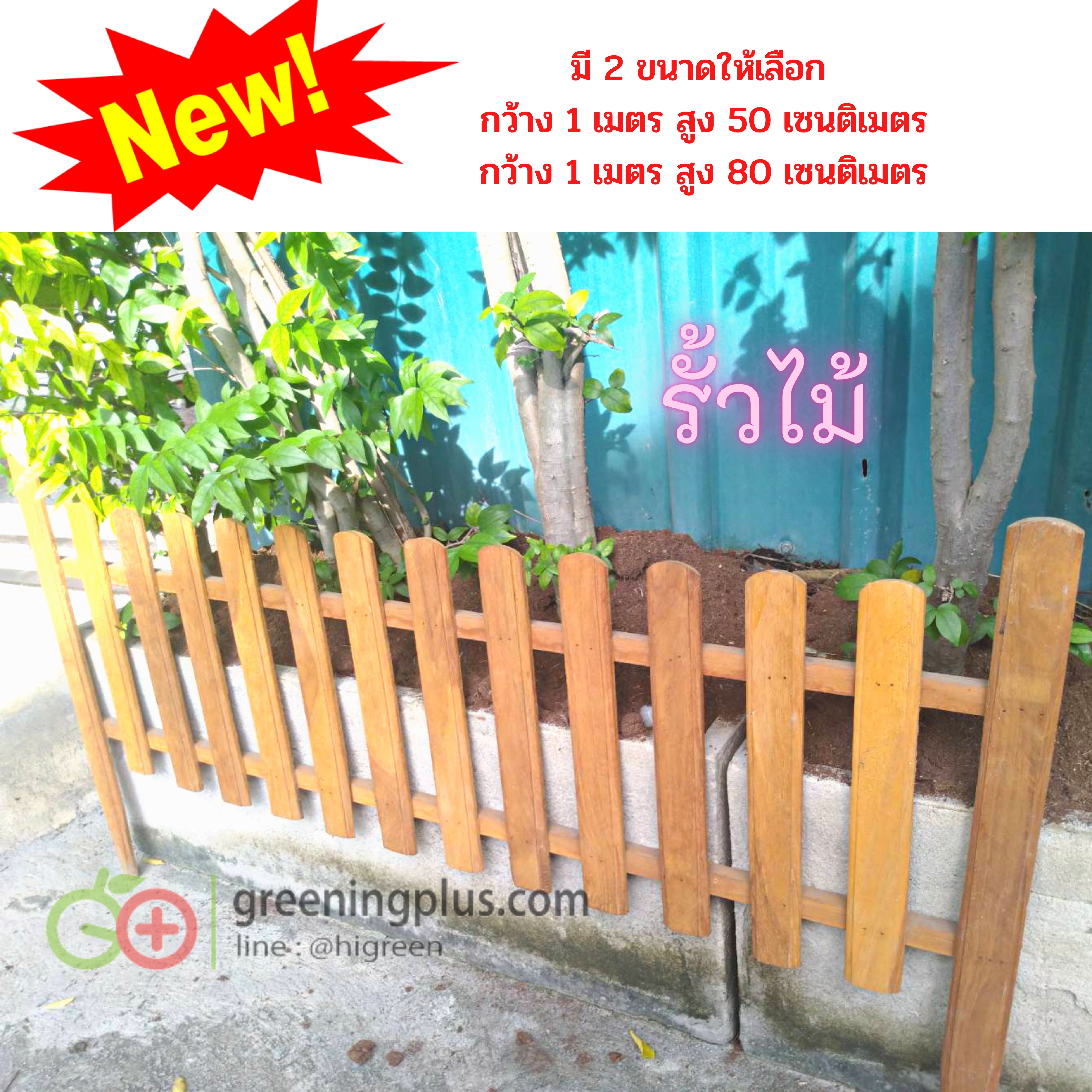 ไม้รั้ว ไม้ตกแต่งสวน