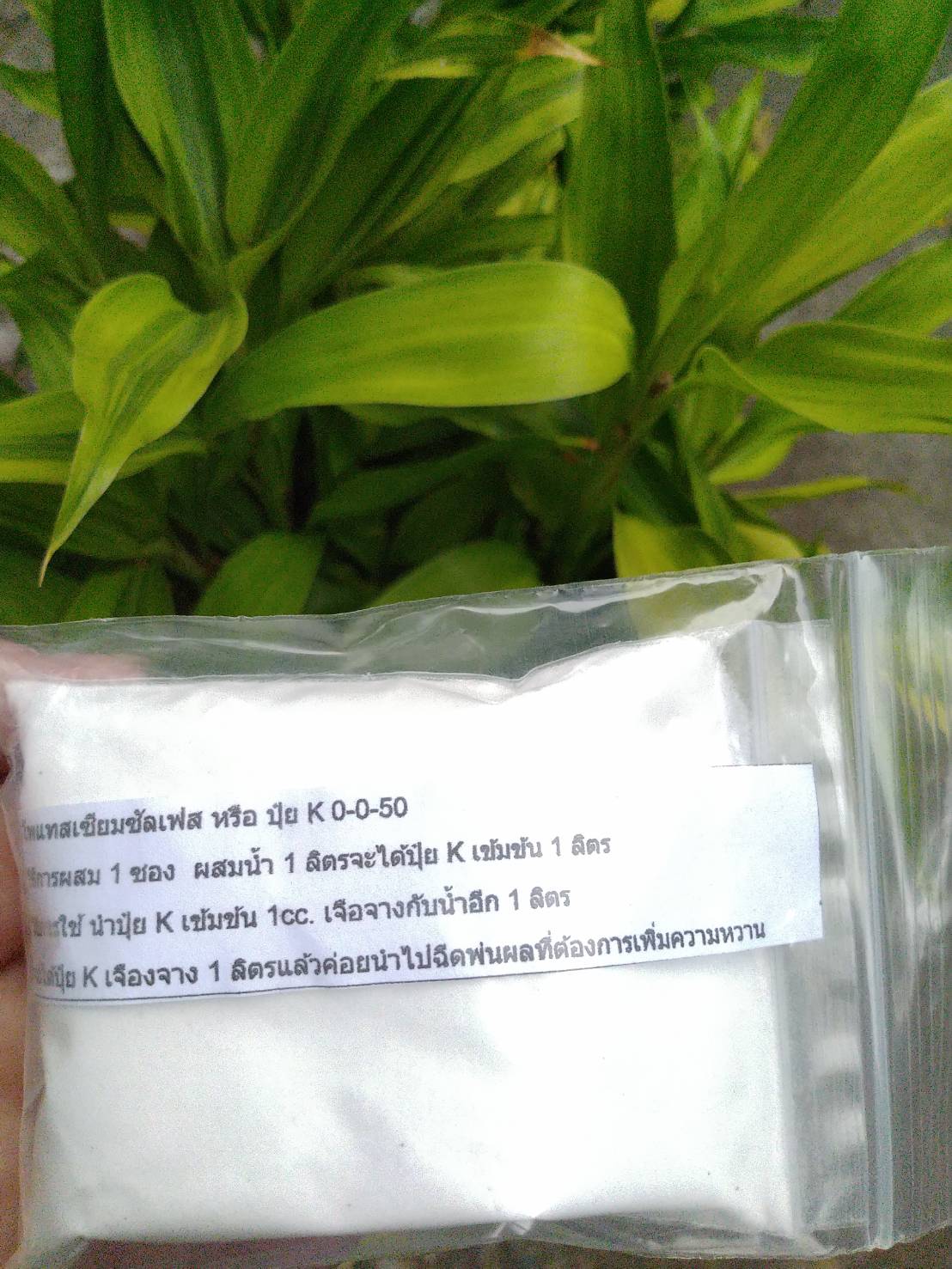 โปตัสเซียมซัลเฟต สูตร0-0-50 ขนาด 100 กรัม(ปุ๋ยK)