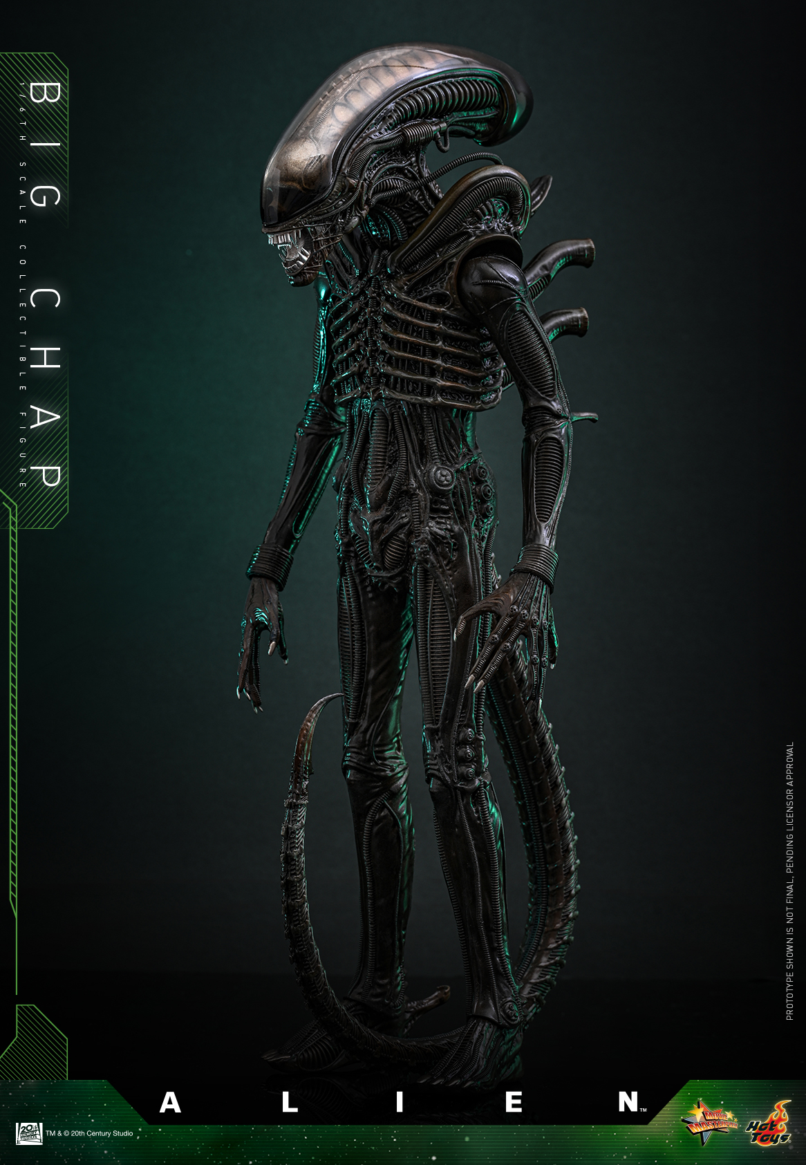 25/08/2568 Hot Toys MMS826 Alien - Big Chap
