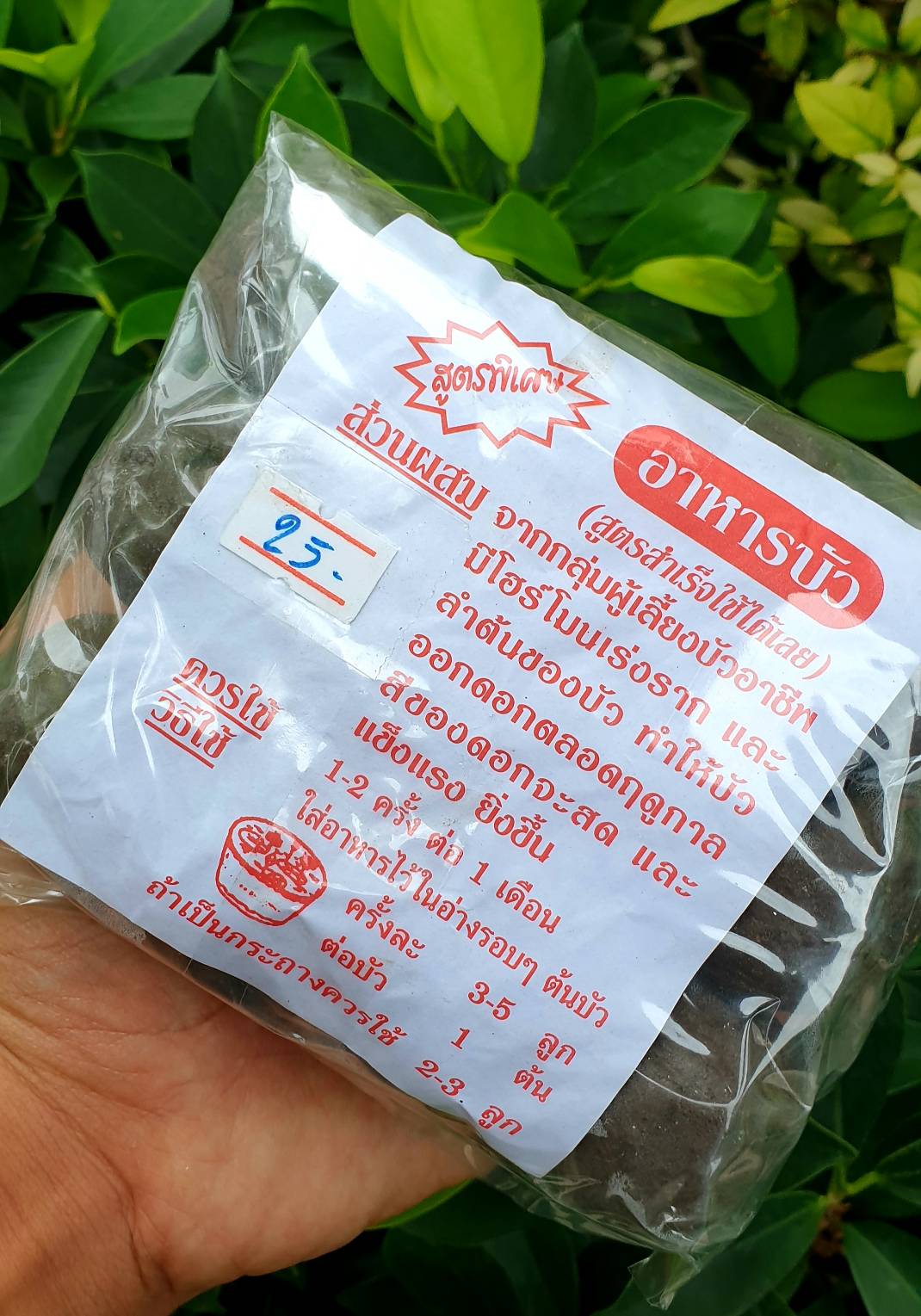 ปุ๋ยบัวดินปั้น