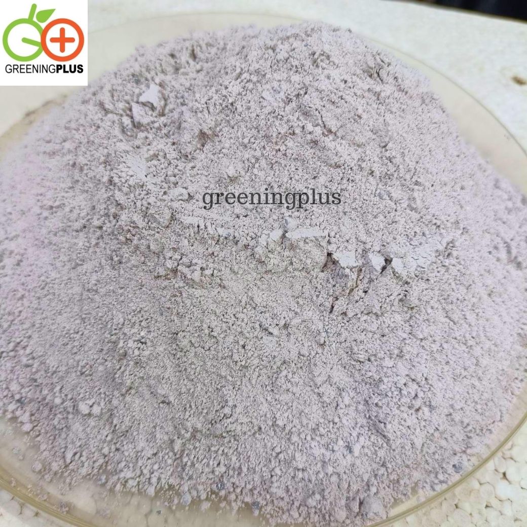 ปูนเปลือกหอย ของแท้จากสุราษฎร์ธานี แบ่งขาย 1 กิโลกรัม / แพ็ค