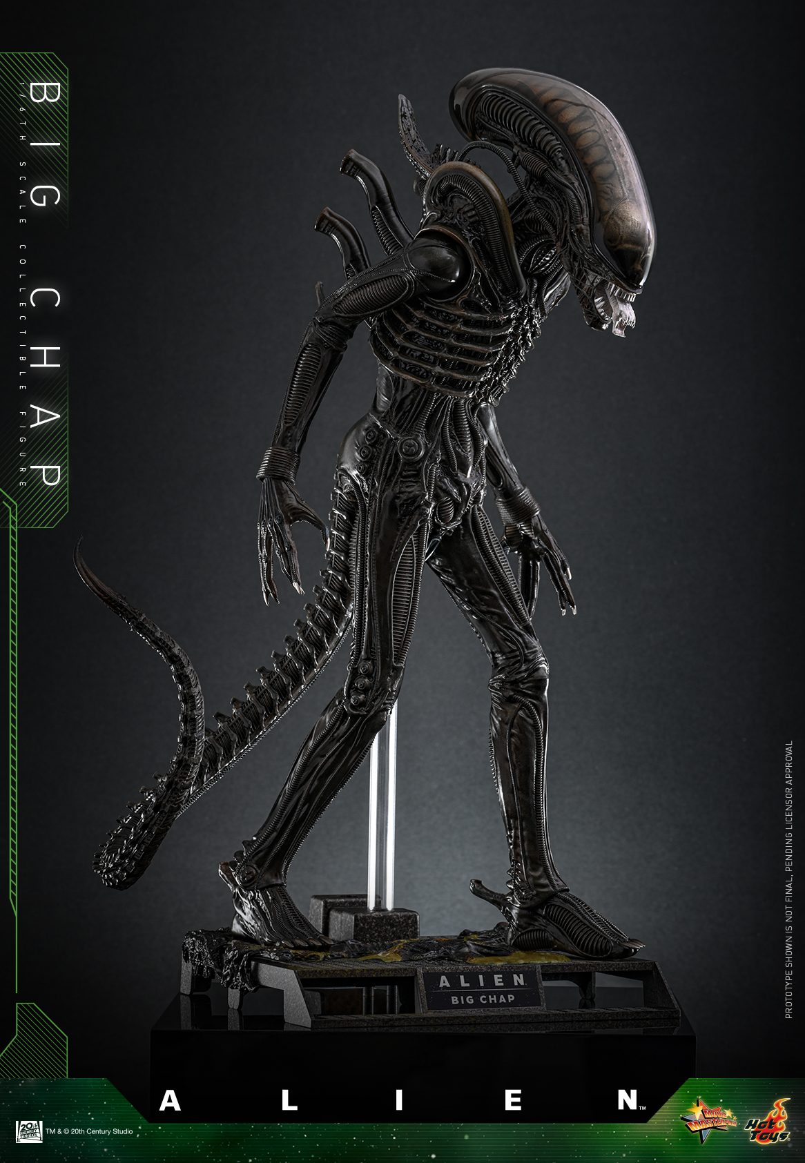 25/08/2568 Hot Toys MMS826 Alien - Big Chap