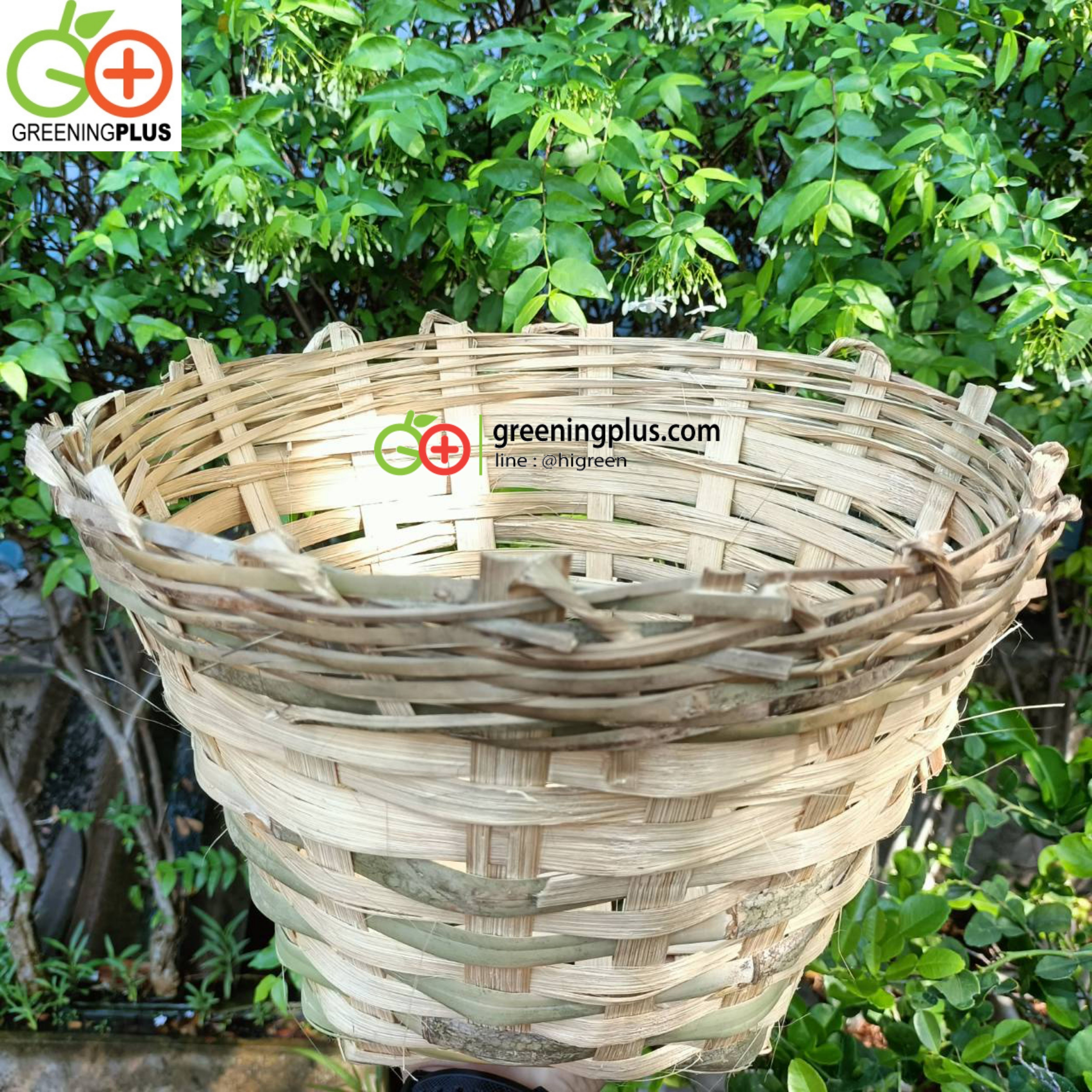 เข่งไม้ไผ่ (จำนวน 1 ใบ)