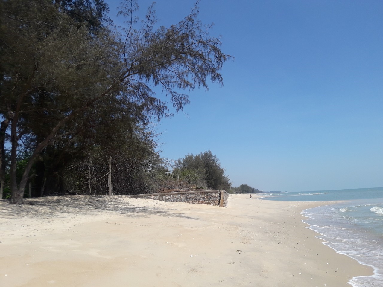 ที่ดินติดหาดชะอำ เนื้อที่ 9-0-23.6 ไร่ ต.ชะอำ อ.ชะอำ จ.เพชรบุรี