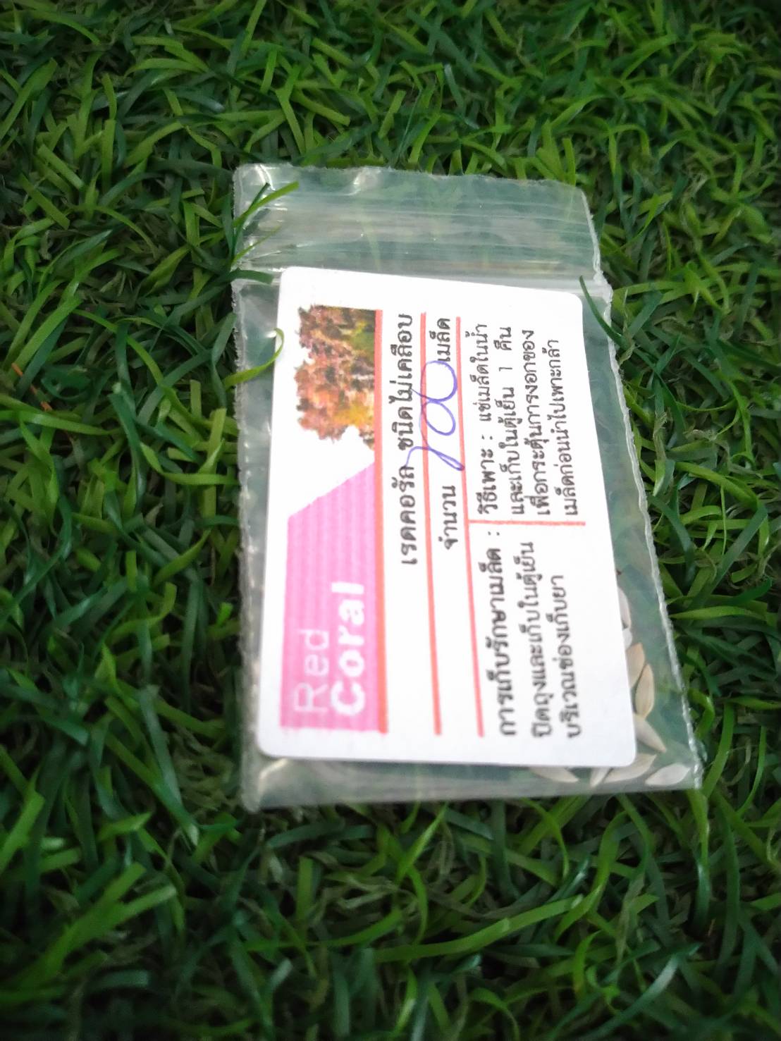 red coral 100 pills(ไม่เคลือบ)