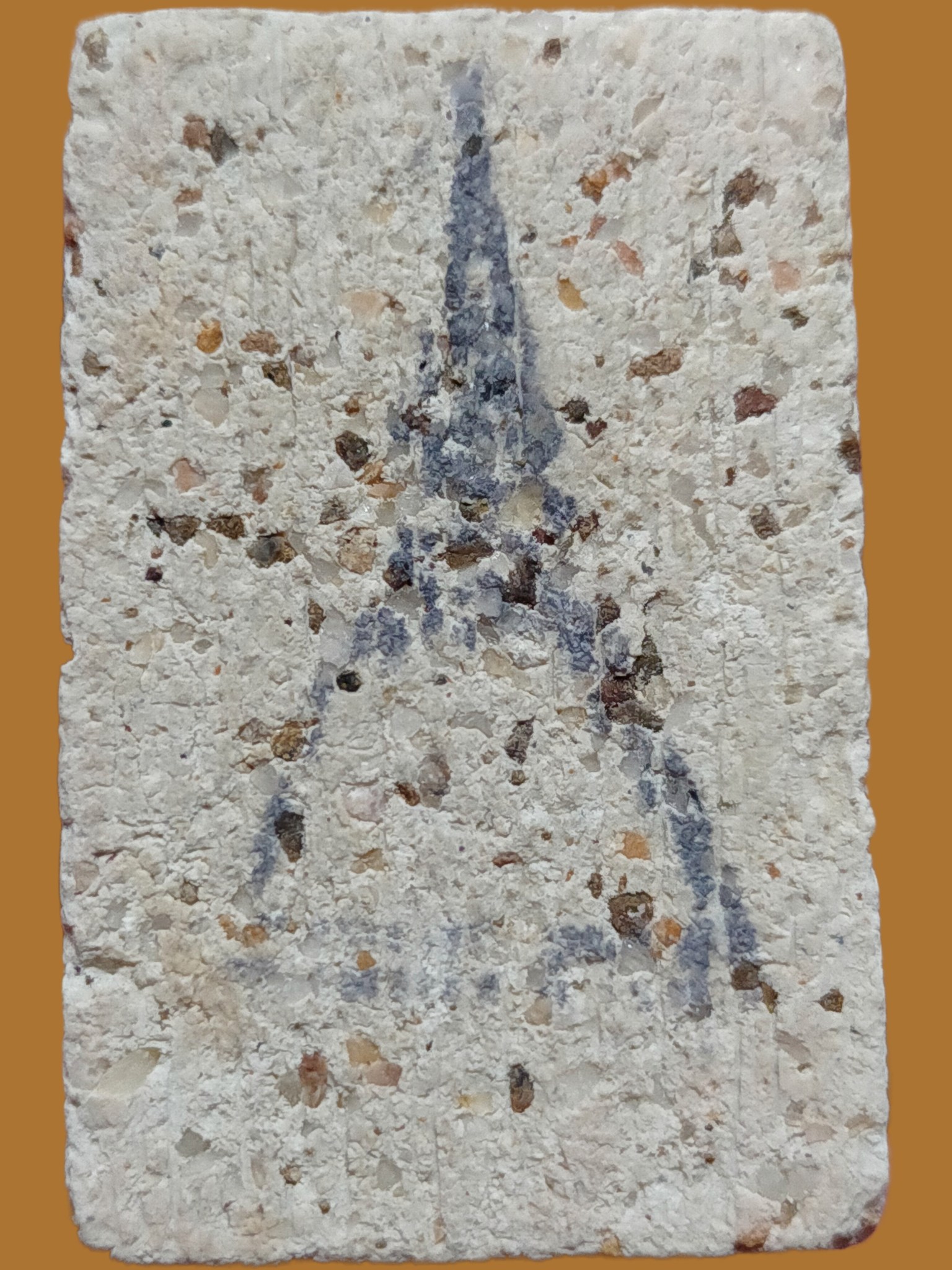 H529 พระสมเด็จพิมพ์ปรกโพธิ์ วัดใหม่อมตรส ปี2547