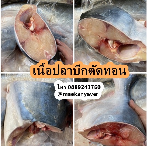 เนื้อปลาบึกตัดท่อนชิ้น 3 โล