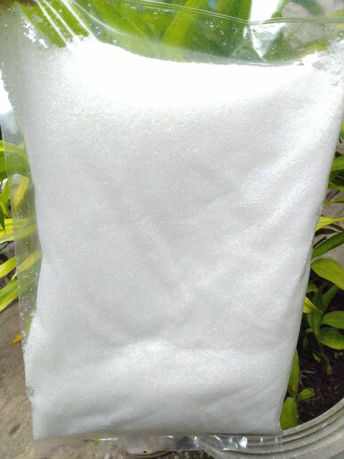 แคลเซียมไนเตรด (CaNO3) 1000 กรัม