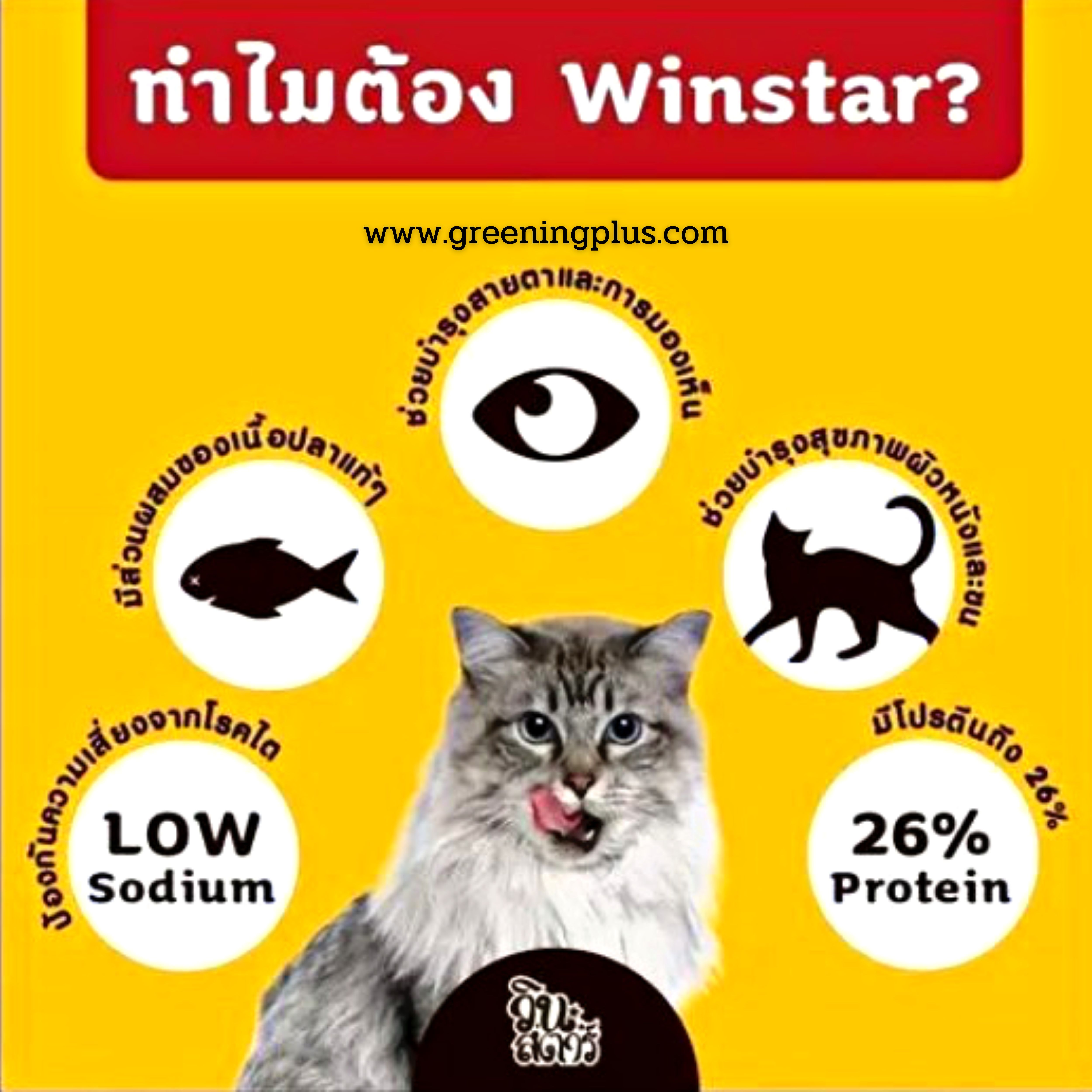 อาหารแมว วินสตาร์ Winstar (แบ่งขาย) ขนาด 1 kg./ถุง