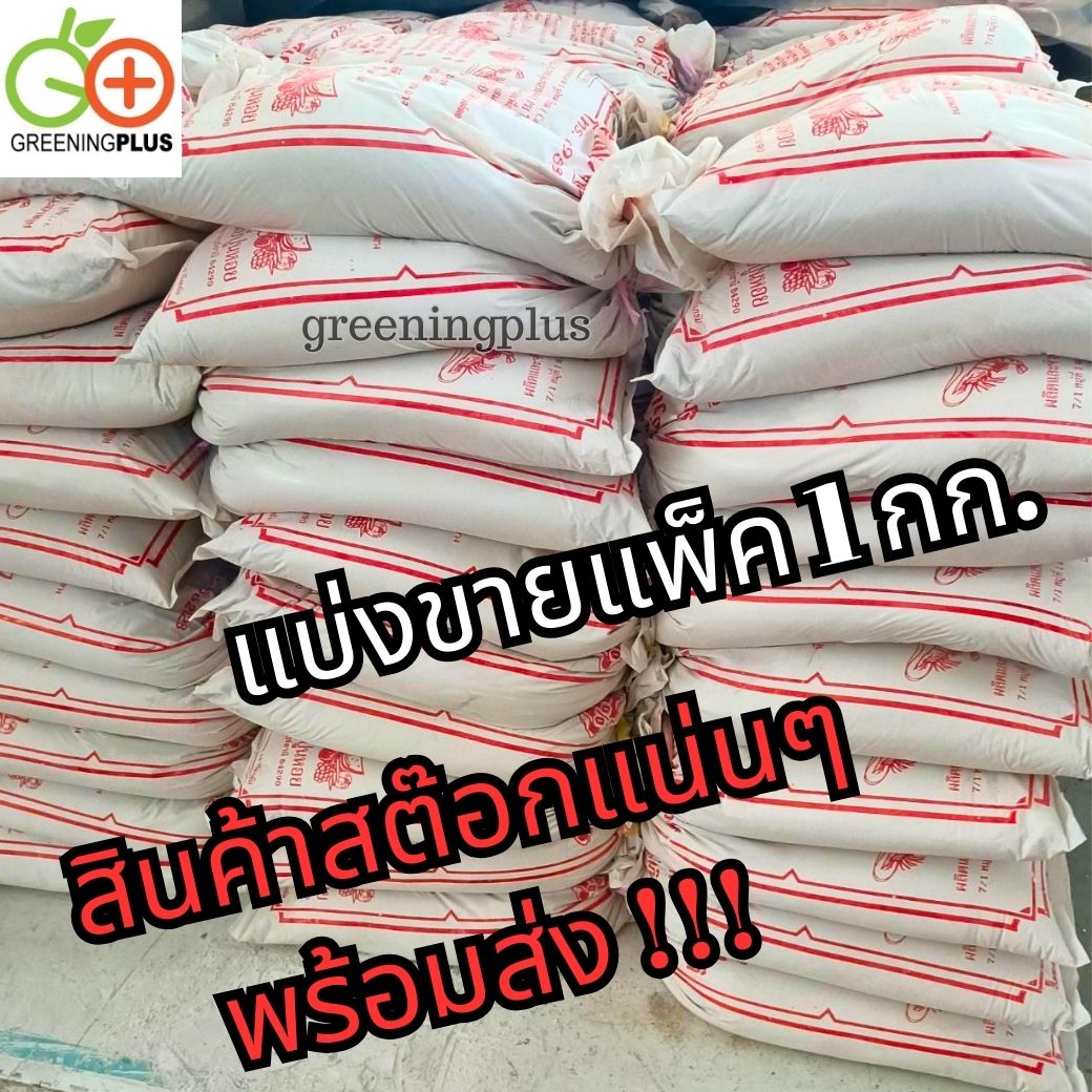 ปูนเปลือกหอย ของแท้จากสุราษฎร์ธานี แบ่งขาย 1 กิโลกรัม / แพ็ค