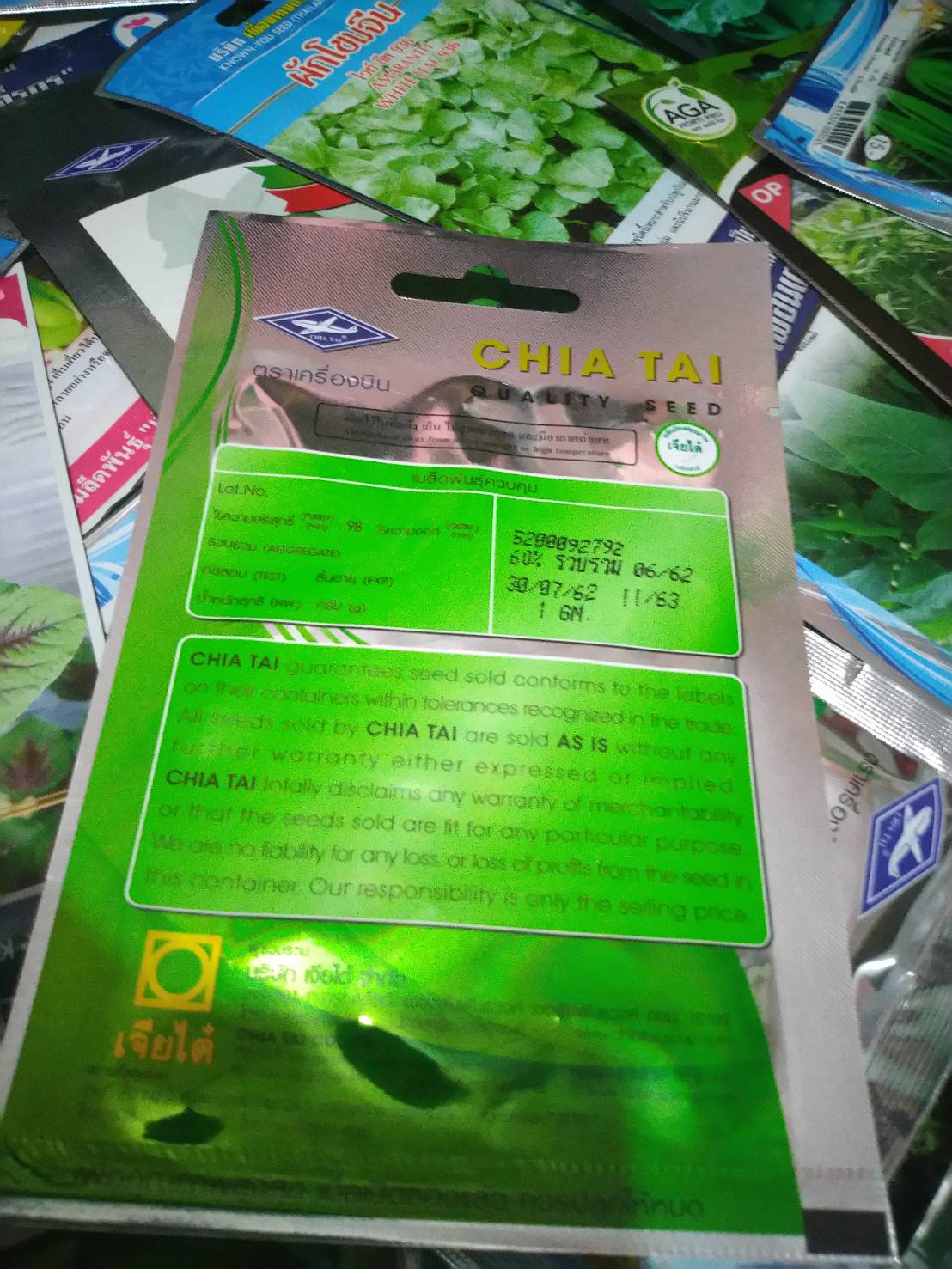 โหระพา อิตาเลียน บราซิล เจียใต๋