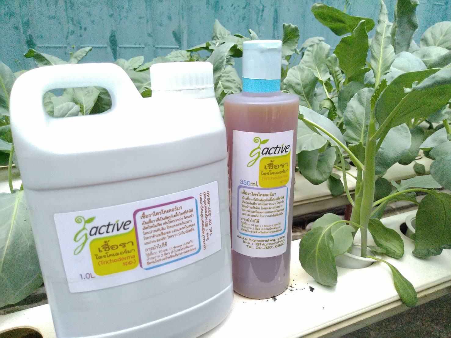 น้ำหมักจุลินทรีย์เชื้อราไตรโคเดอร์มา ขนาด 350 มล.
