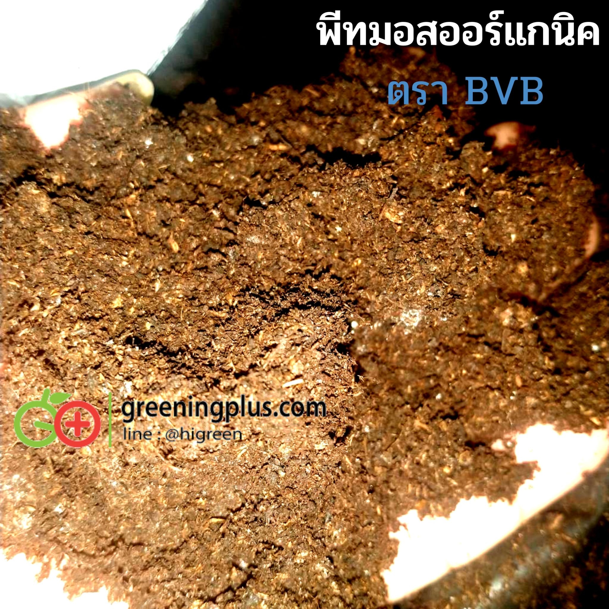 พีทมอสออร์แกนิค (Peat moss Organic) 70ลิตร/กระสอบ 10 กระสอบ