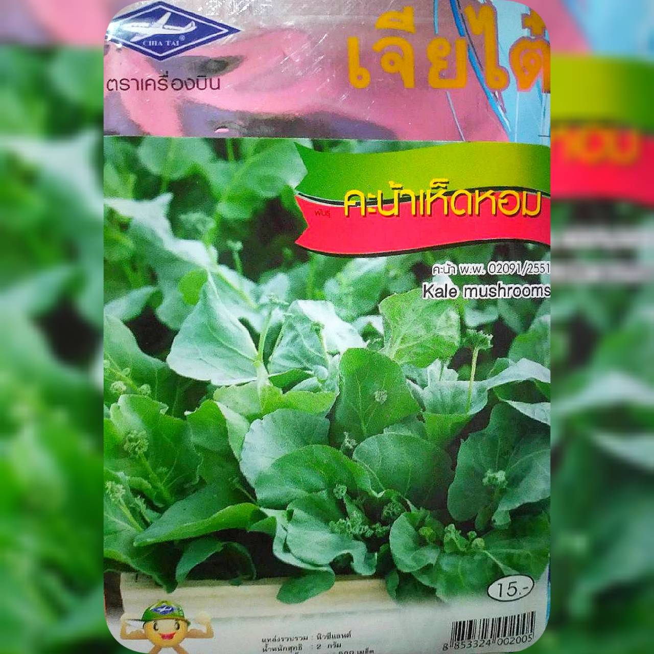 คะน้าเห็ดหอม Kale mushrooms เจียไต๋