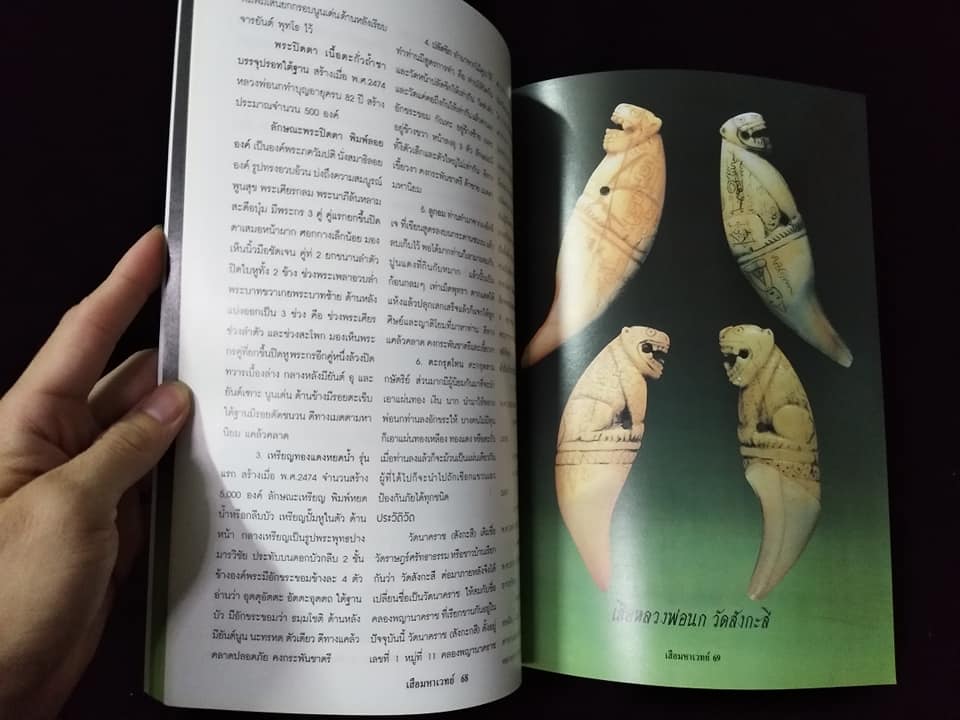 เสือ มหาเวทย์