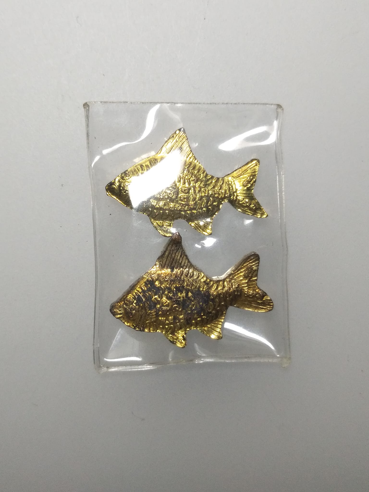 E262 ปลาตะเพียน หลวงพ่อเปิ่น วัดบางพระ จ.นครปฐม