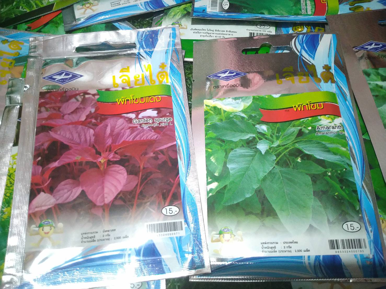 ผักโขม Amaranth เจียไต๋