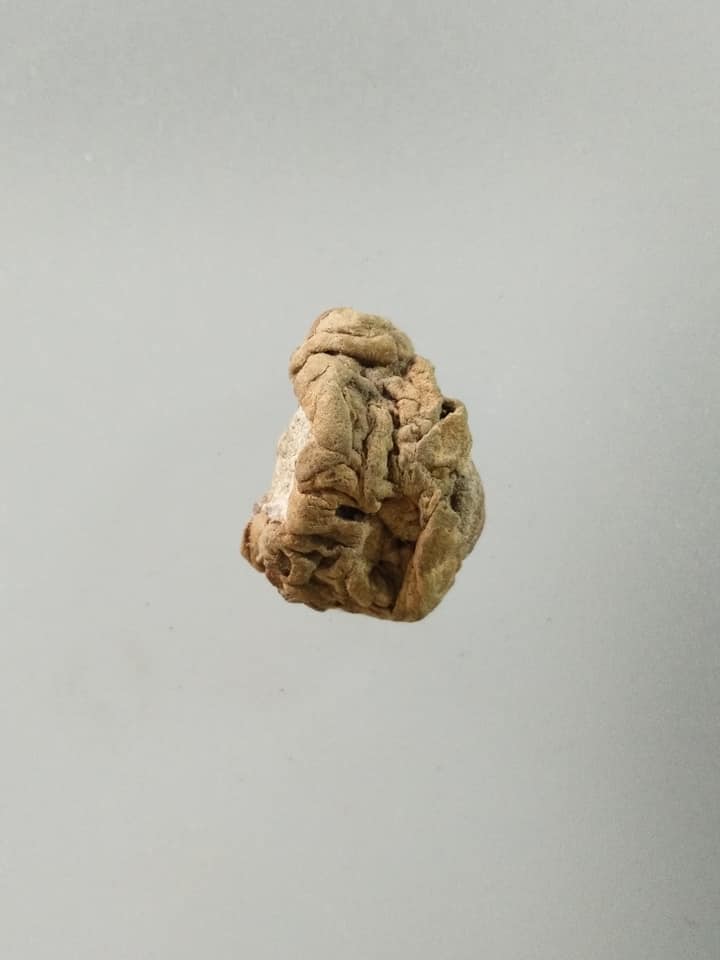 A771 วัตถุอาถรรพ์ ไม่แน่ใจว่าเป็นรกแมวหรือเปล่า