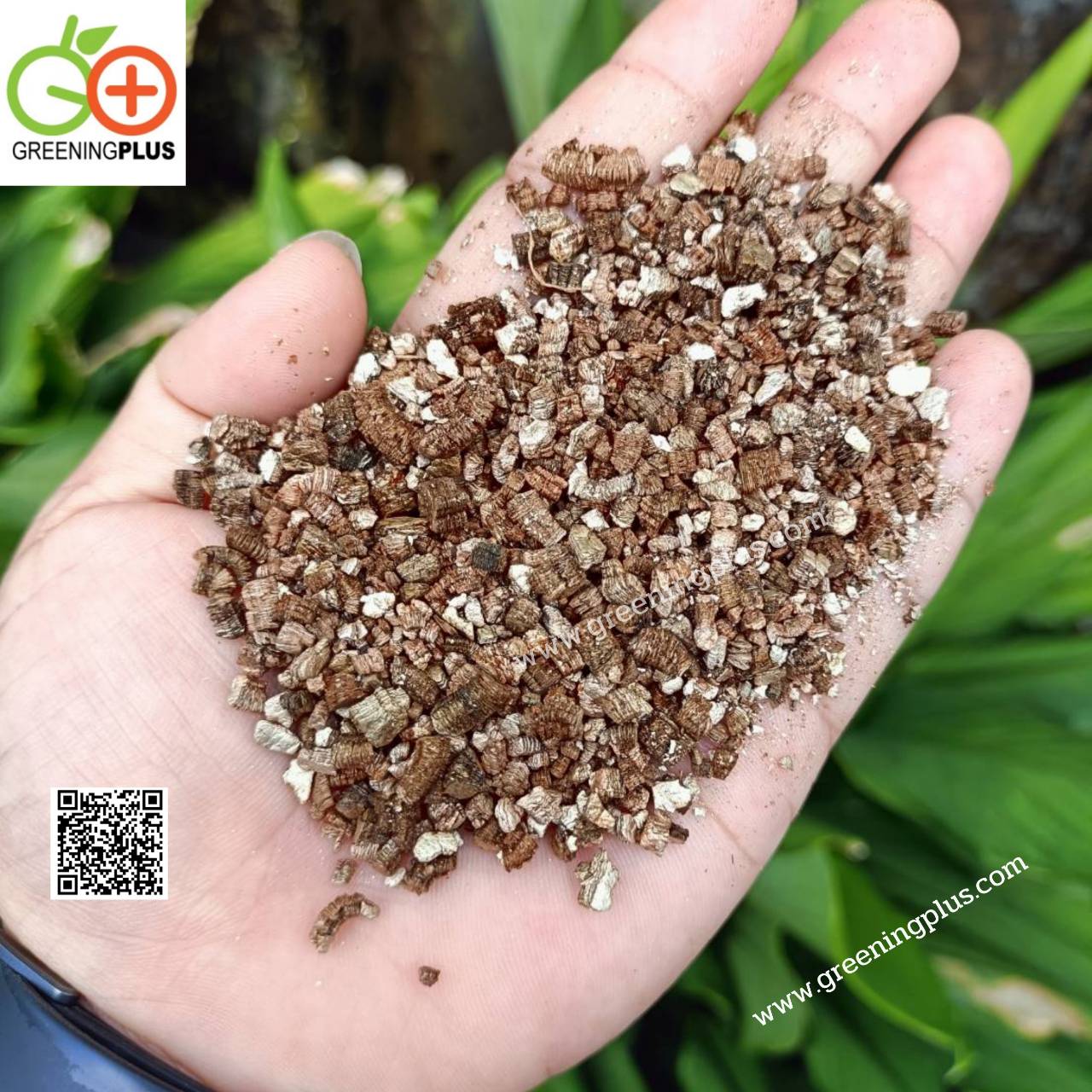 เวอร์มิคูไลท์(Vermiculite) 100 ลิตร นำเข้าจากประเทศ จีน 10 กระสอบ