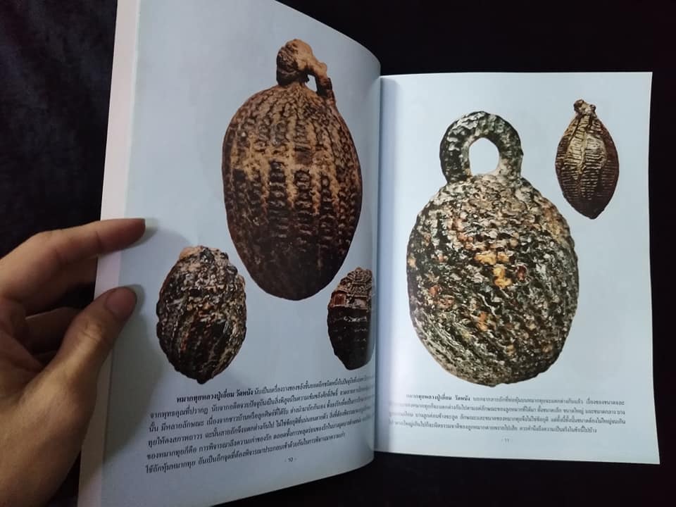 เบี้ยแก้ หมากทุย