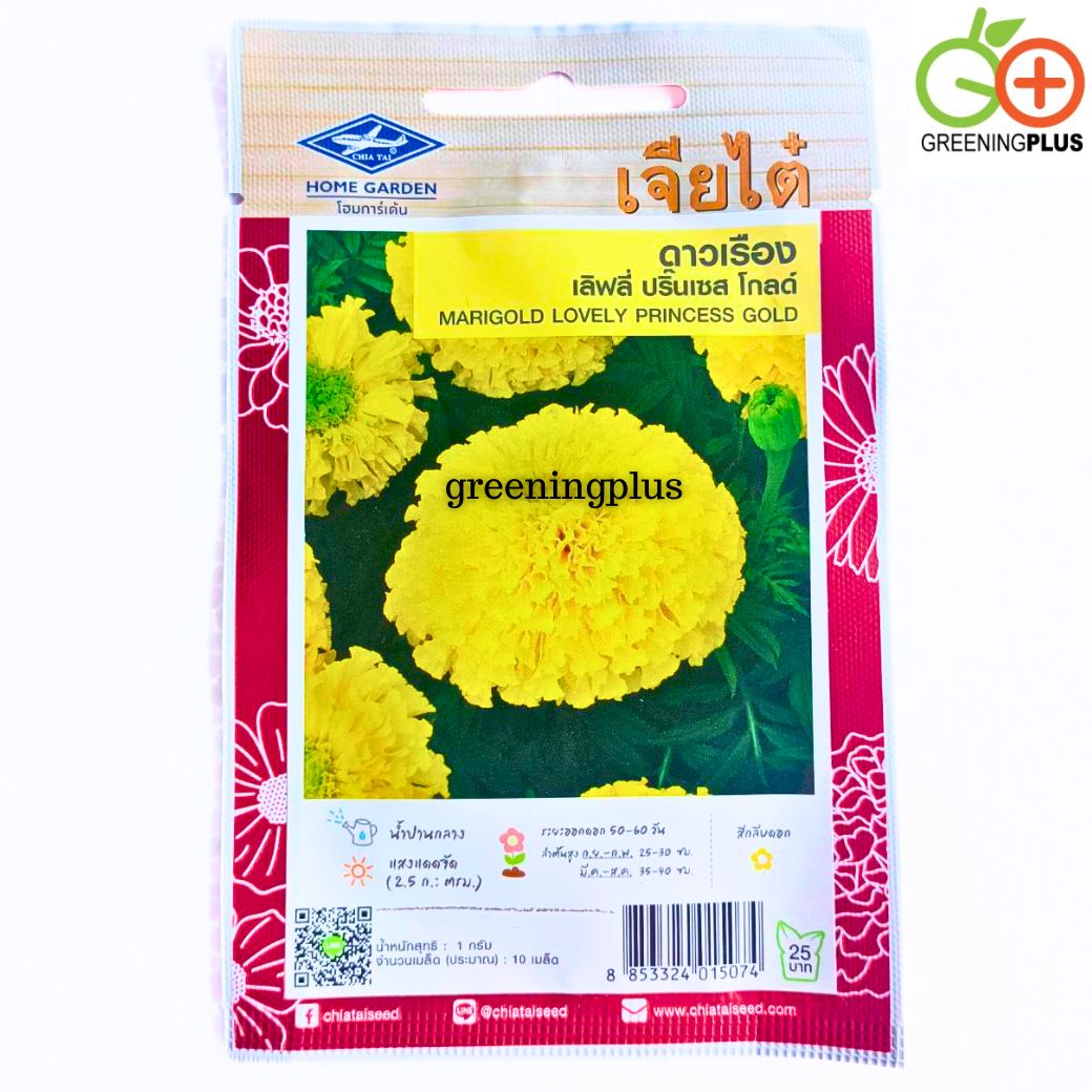 ดาวเรือง เลิฟลี่ ปริ๊นเซส โกลด์ MARIGOLD LOVELY PRINCESS GOLD เจียไต๋