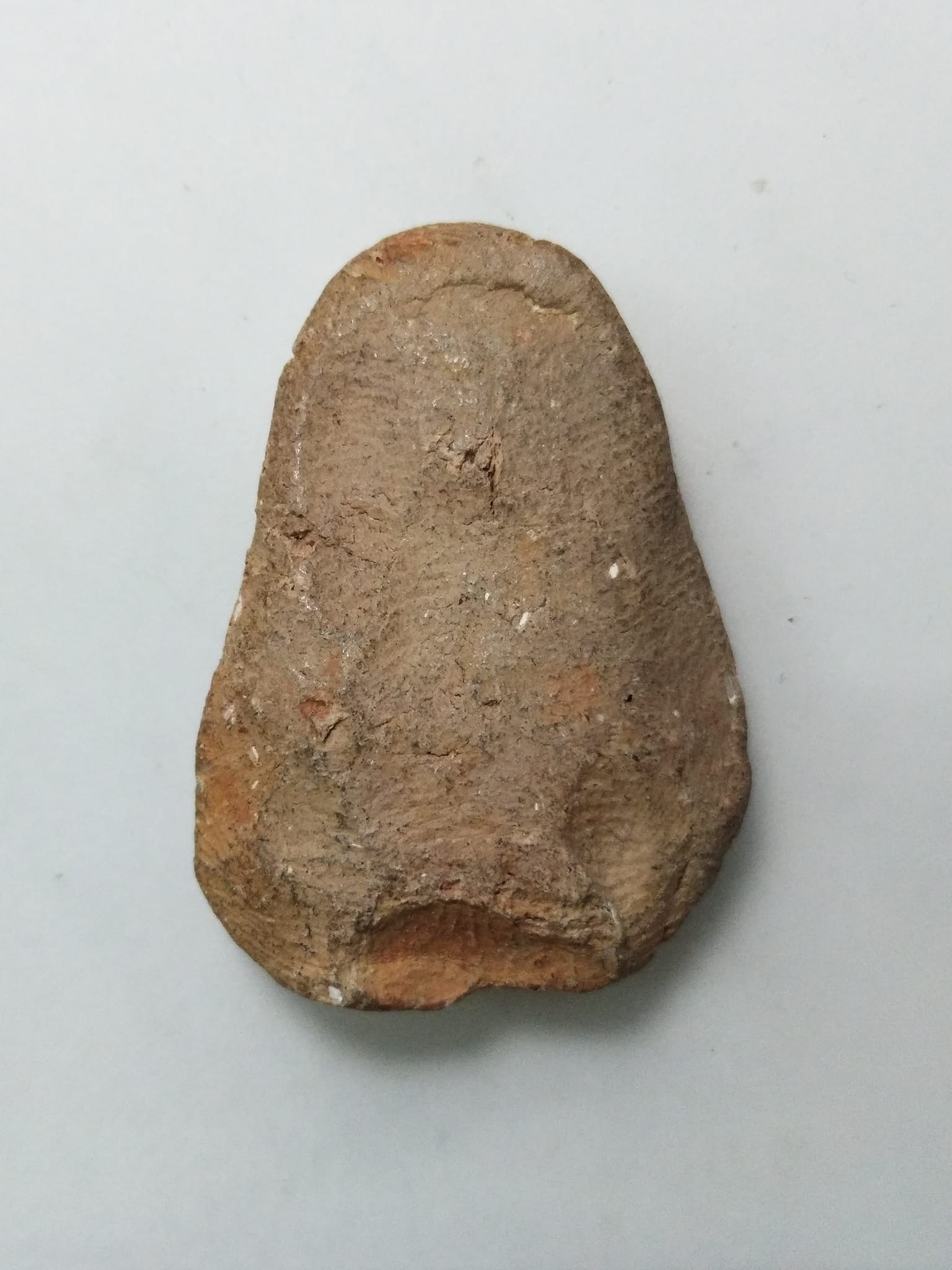 A423 พระสีกร