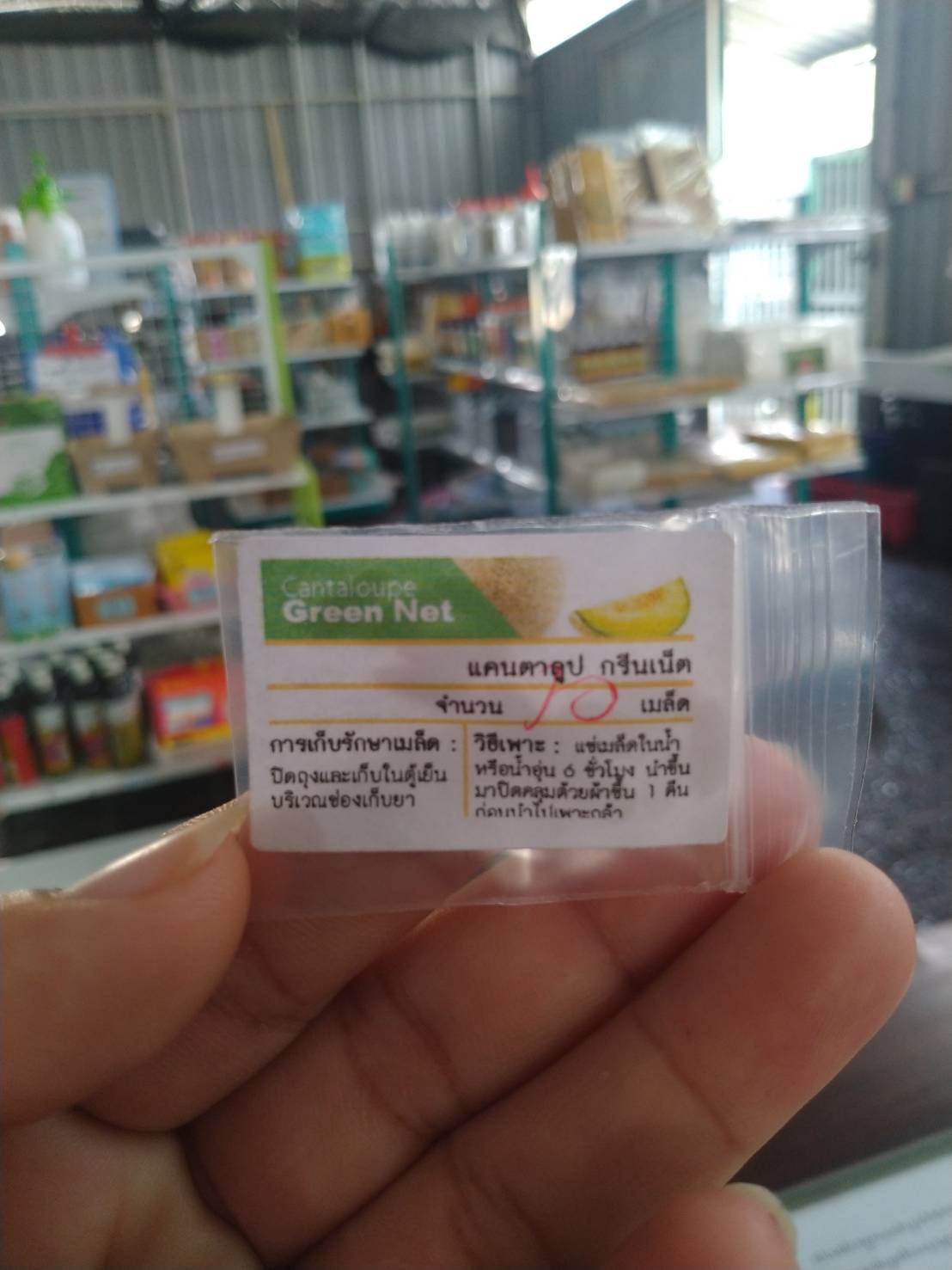 เมล่อน GREEN NET 10 เมล็ด
