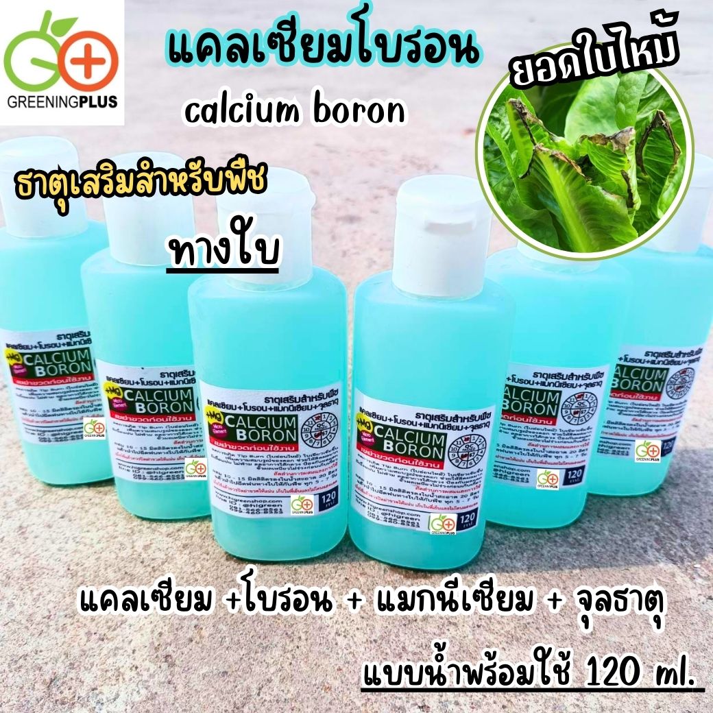 แคลเซียมโบรอน calcium boron 120ml./ขวด