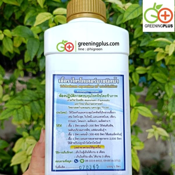 หัวเชื้อราไตรโคเดอร์ม่า แบบน้ำ 1 ลิตร