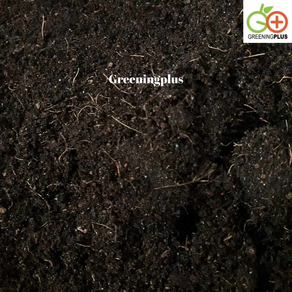 ขุยมะพร้าว ชนิด Treat แล้ว 2 กก./ถุง