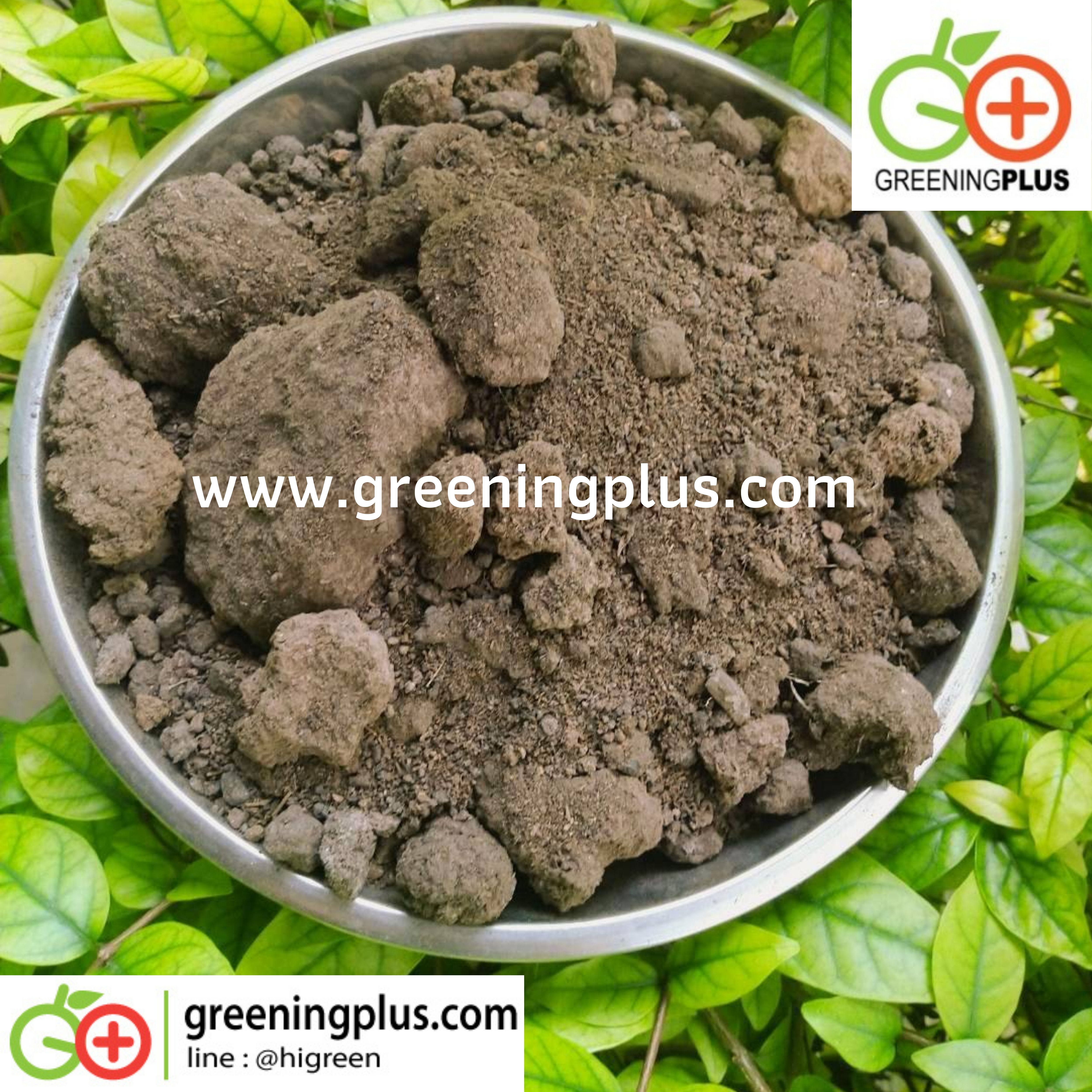 ขี้หมูแห้งกระสอบขาว 1 กระสอบ