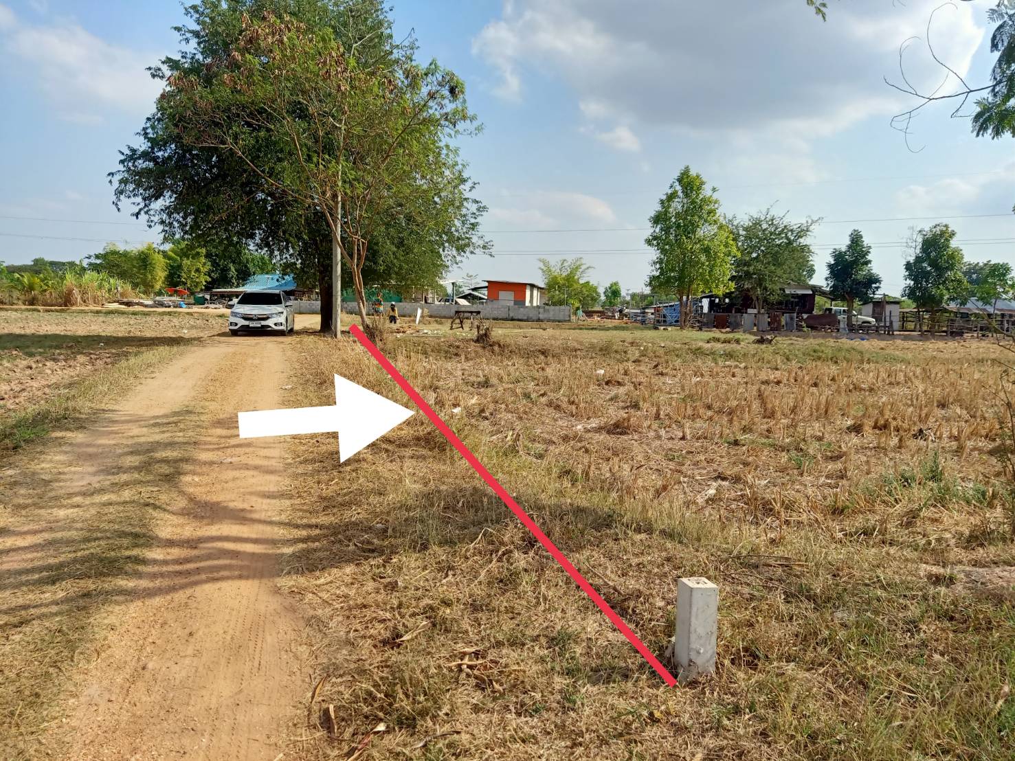ขายที่นา ขนาด 3 ไร่ ขายเหมา 1.3 ล้านบาท