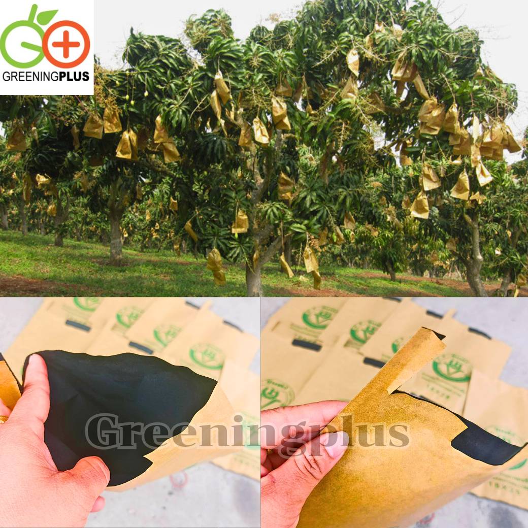 ถุงกระดาษคาร์บอน ขนาด18x28ซม. (สีเขียว) 50ใบ/แพ็ค