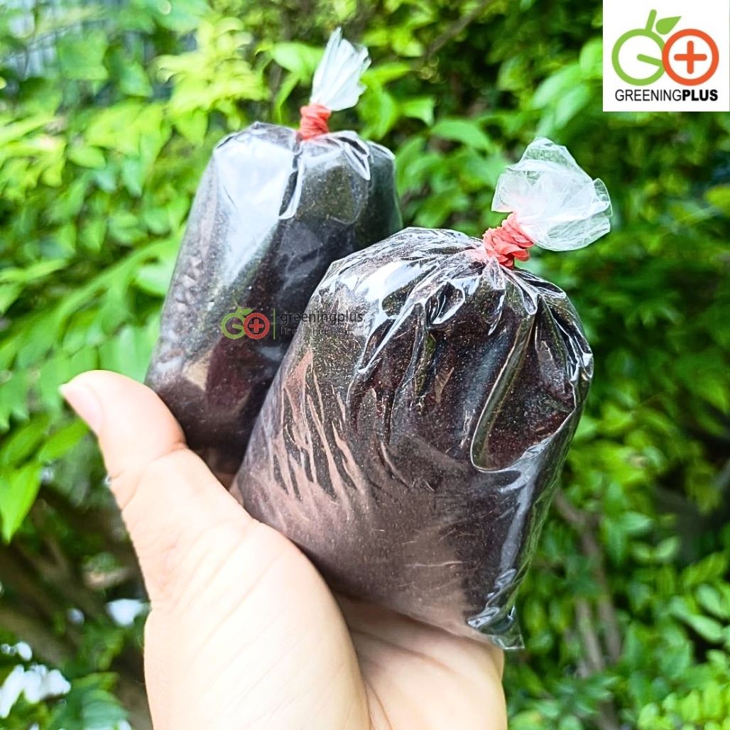 เซตตอนกิ่ง (คีมตอนกิ่ง + ตุ้มมะพร้าวแบบละเอียด 10 ตุ้ม) / เซต