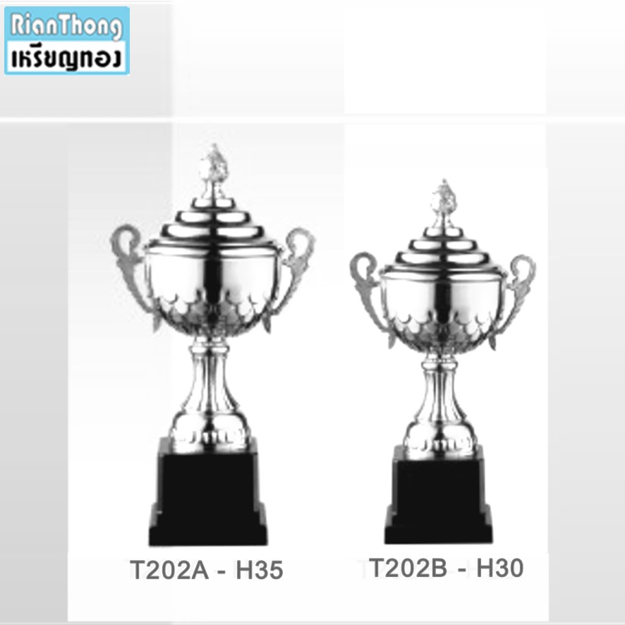 TPZ202 ถ้วยรางวัลโลหะ ZINC