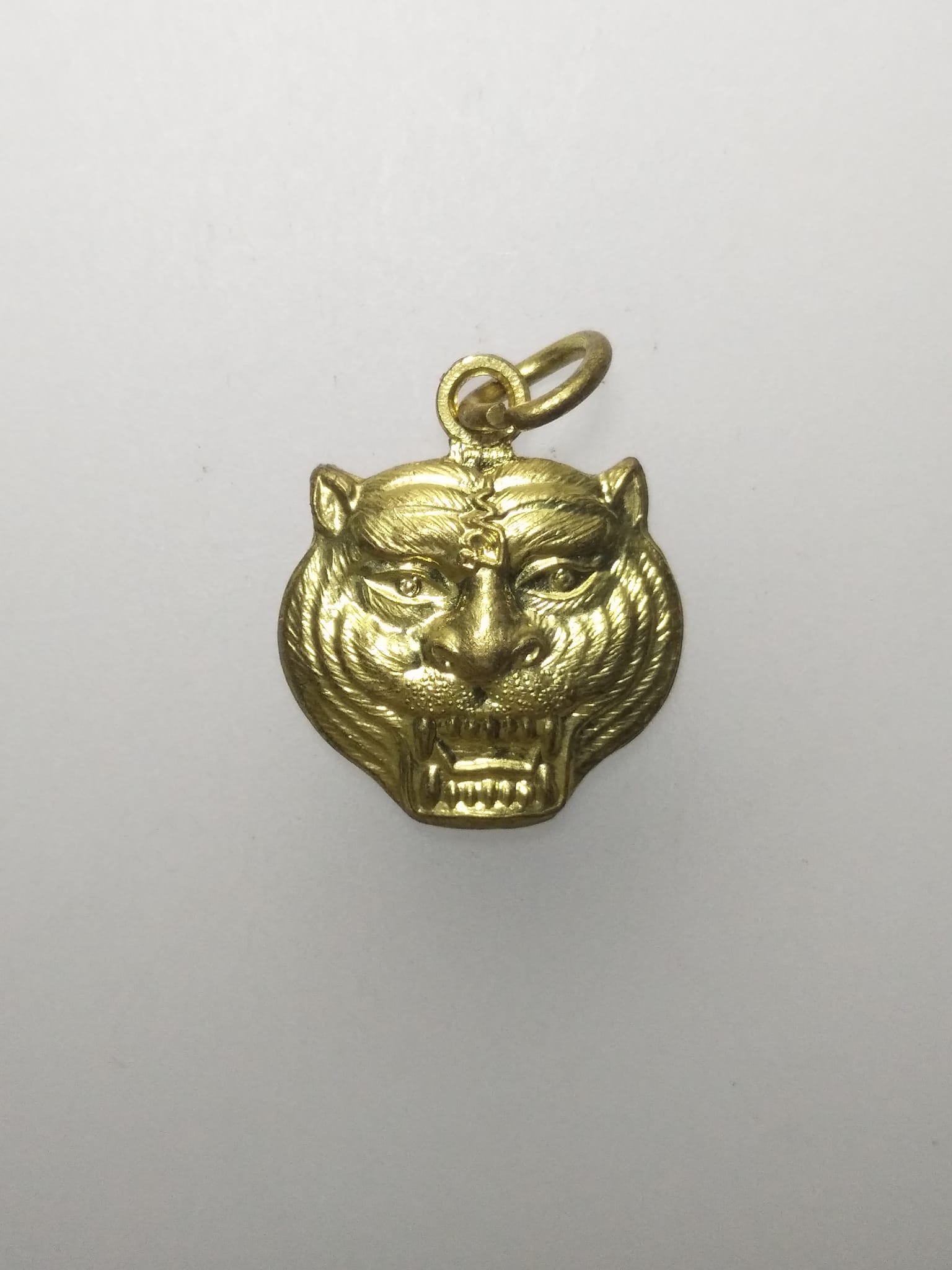 E311 เหรียญหน้าเสือ หลวงพ่อเปิ่น วัดโคกเขมา จ.นครปฐม ปี2553 พยัคฆ์1