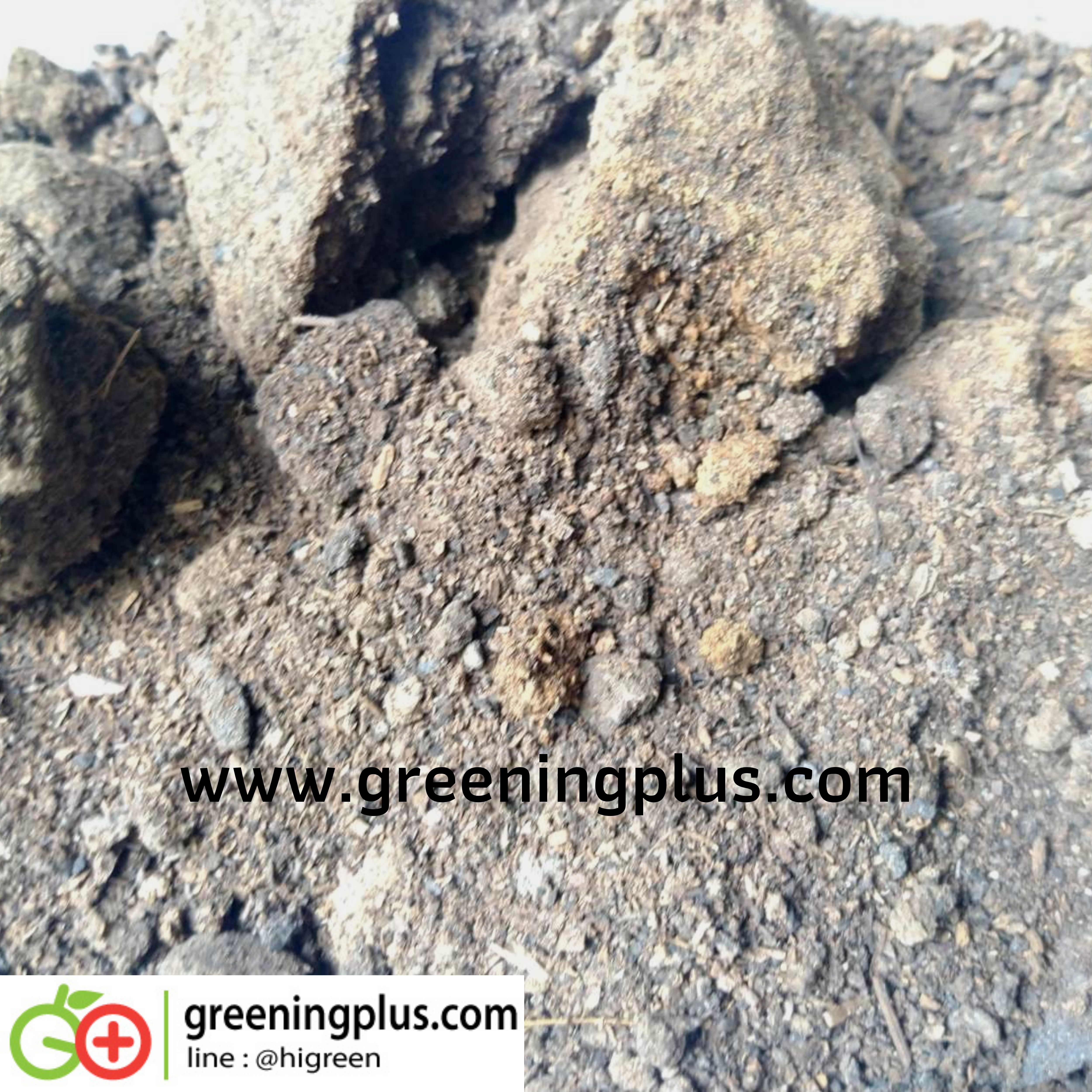 ขี้หมูแห้งกระสอบขาว 1 กระสอบ