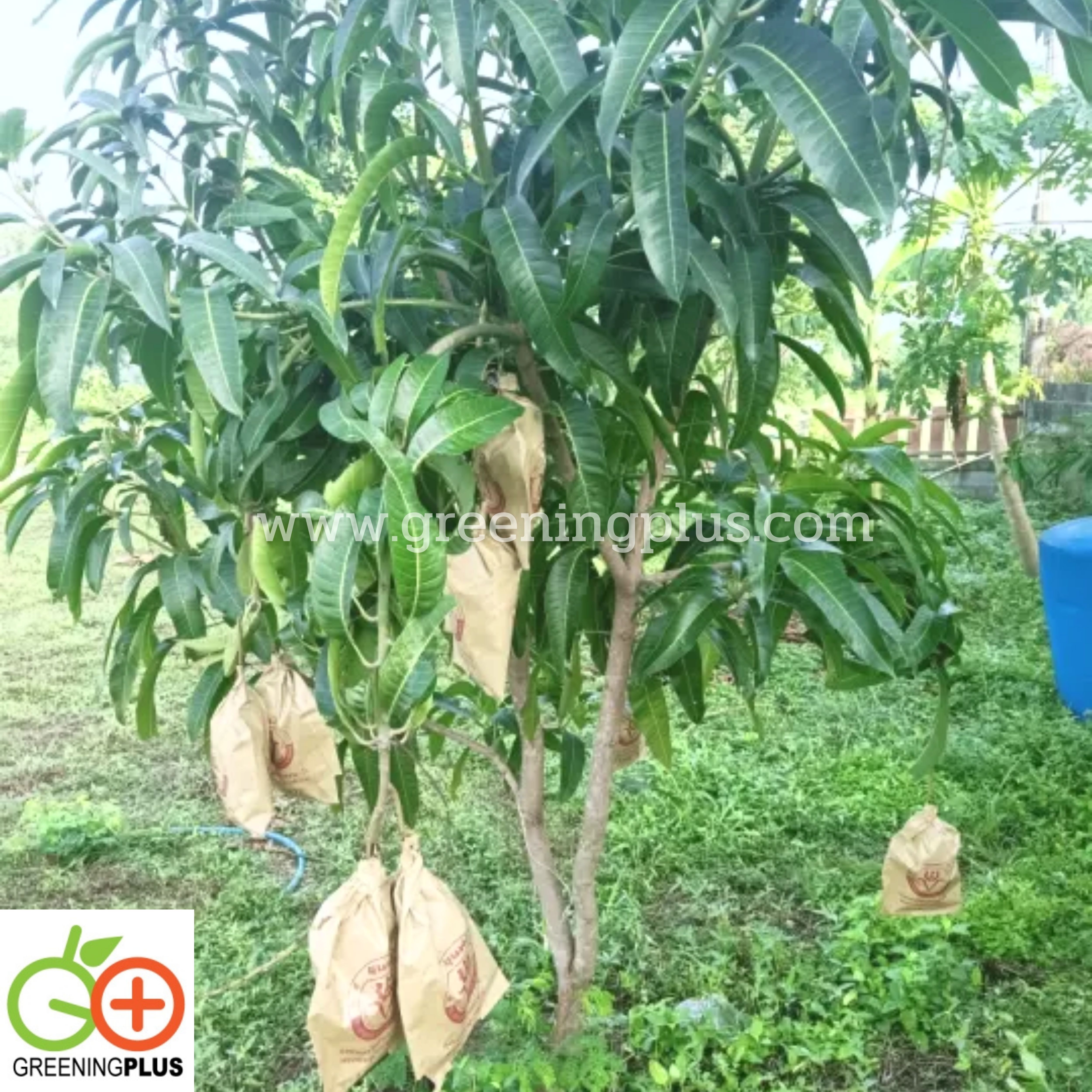 ถุงกระดาษคาร์บอน ขนาด18x28ซม. 2000ใบ/ลัง