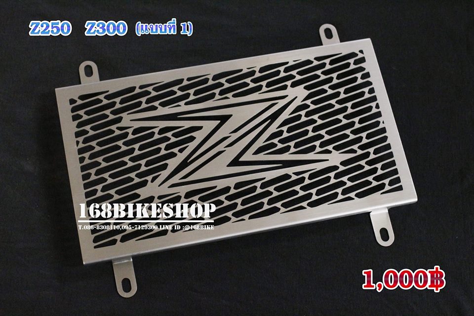 Z250/Z300 แบบที่1
