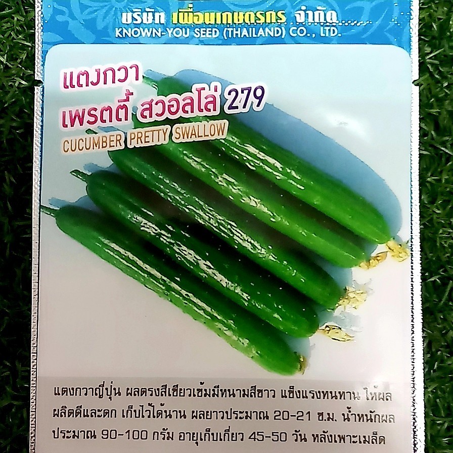 แตงกวาญี่ปุ๋น เพรตตี้ สวอลโล่ 279 cucumber pretty swallow เพื่อนเกษตร