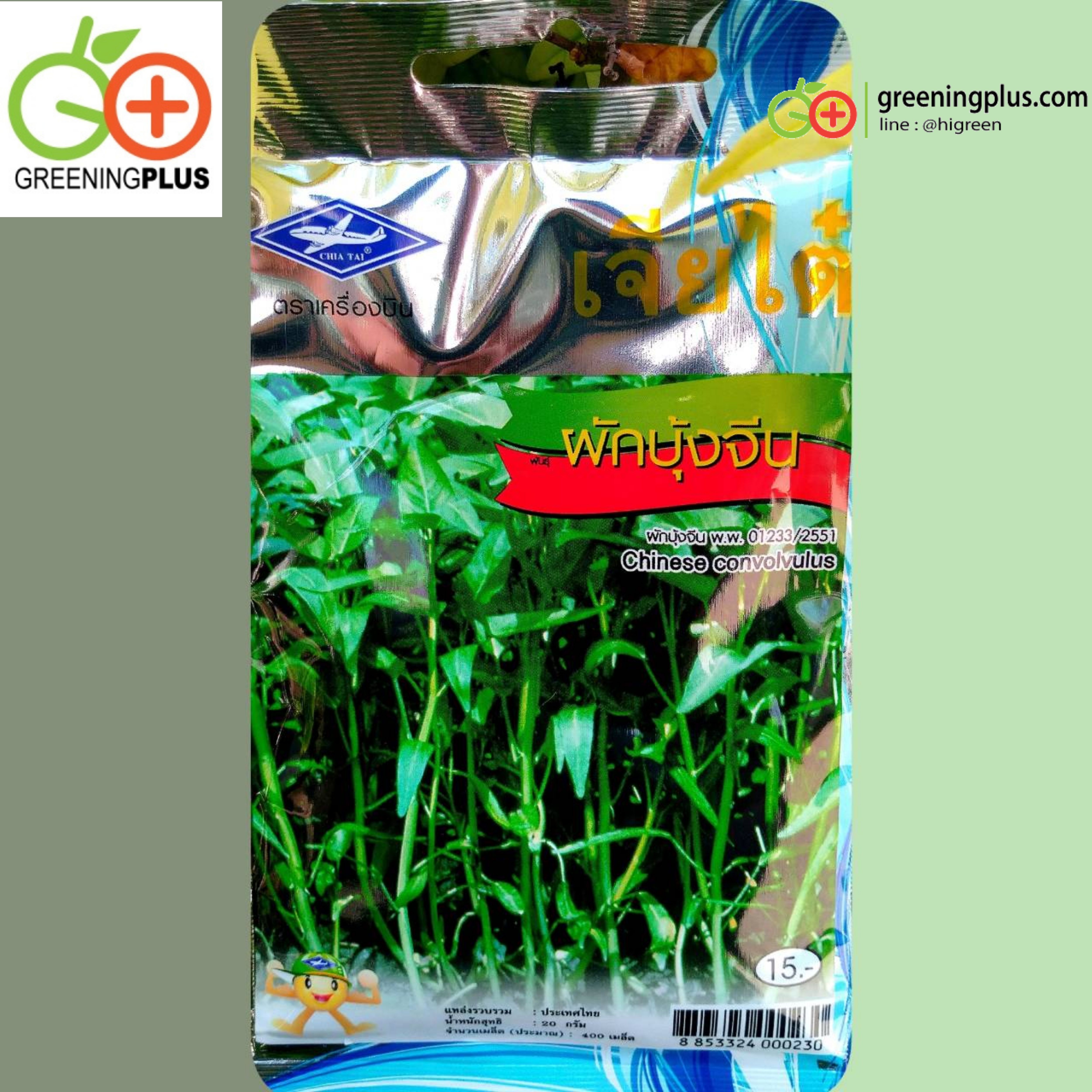 ผักบุ้งจีน Chinese convolvulus เจียไต๋