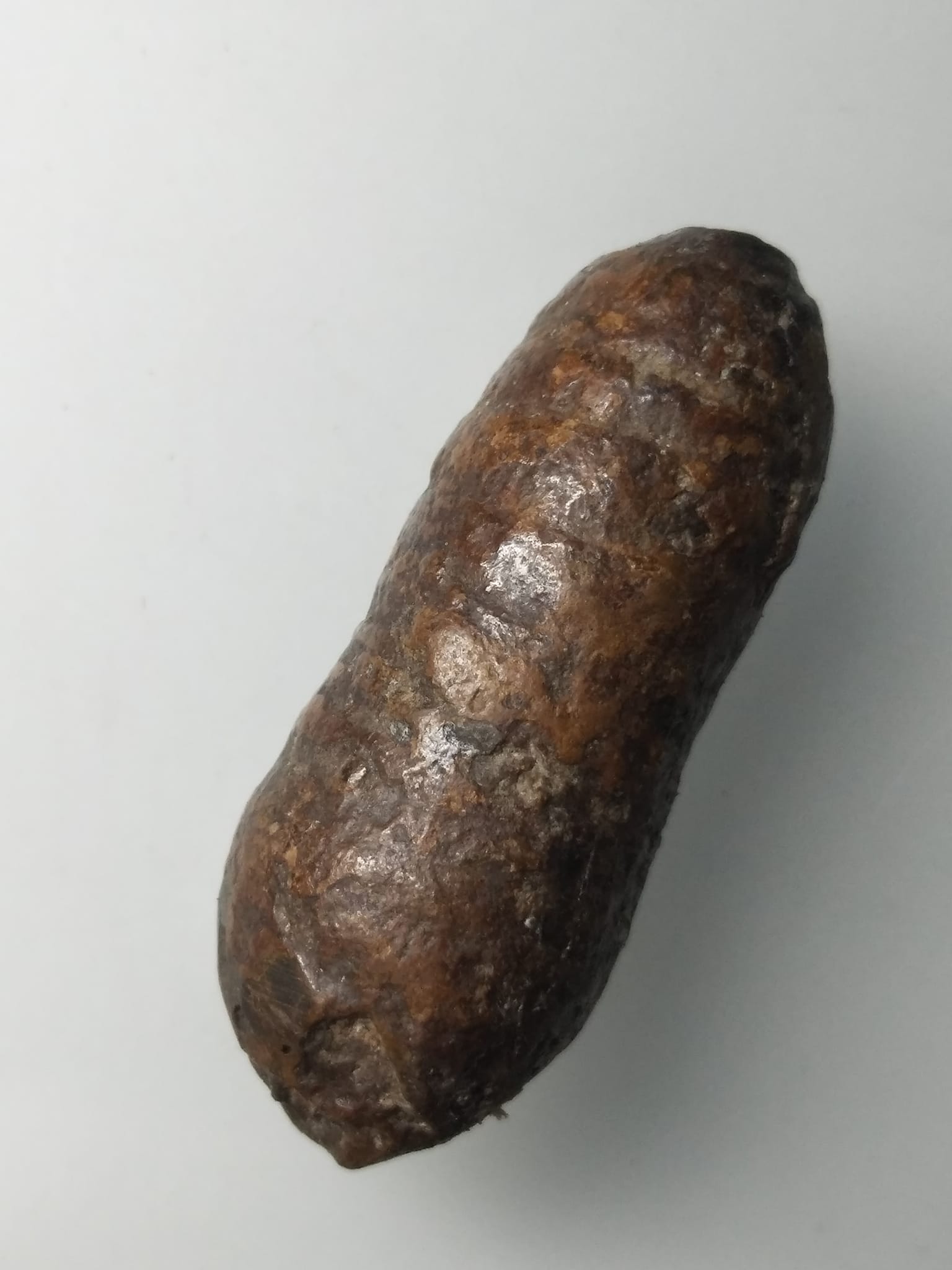 H305 คตดักแด้ ดักแด้หินทนสิทธ์