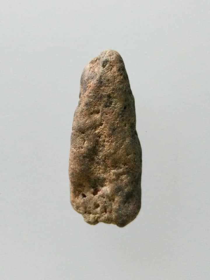 A825 คตดักแด้ คตจักจั่น