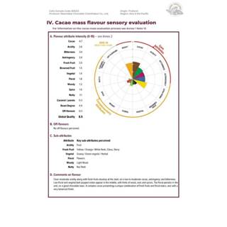 เมล็ดโกโก้ Raw Dried CaCao Beans (950g) เมล็ดโกโก้แห้งจันทบุรี โกโก้จันท์