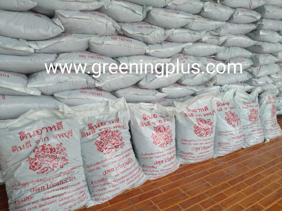 ดินอาหลี ดินดี จากลพบุรี จำนวน 1 กระสอบ