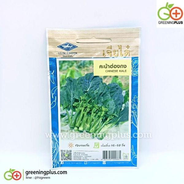 คะน้าฮ่องกง CHINESE KALE เจียใต๋