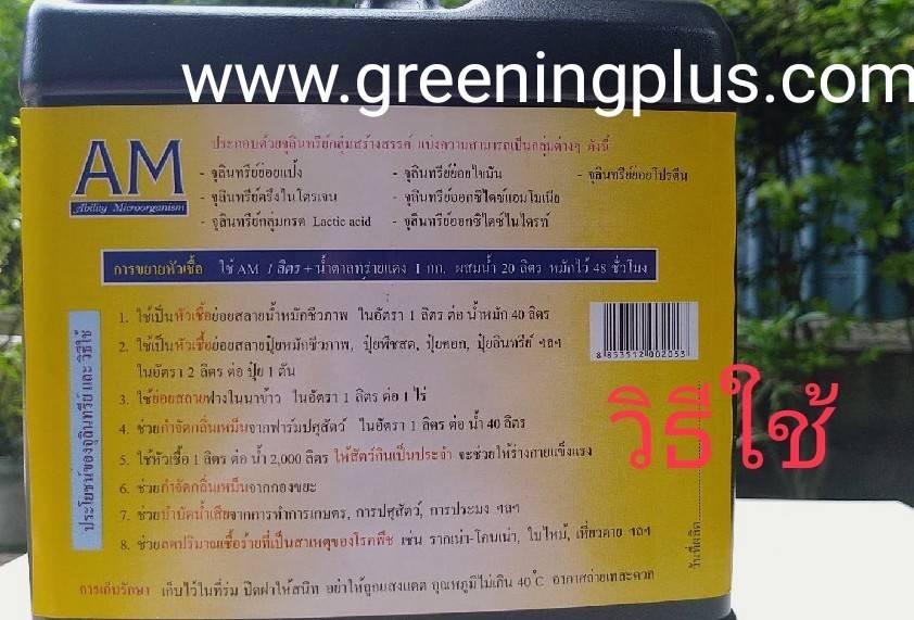 หัวเชื้อจุลินทรีย์ AM จุลินทรีย์เพิ่มประสิทธิภาพ ขนาด 1 ลิตร