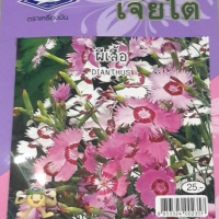 ดอกผีเสื้อ DIANTHUT เจียใต๋