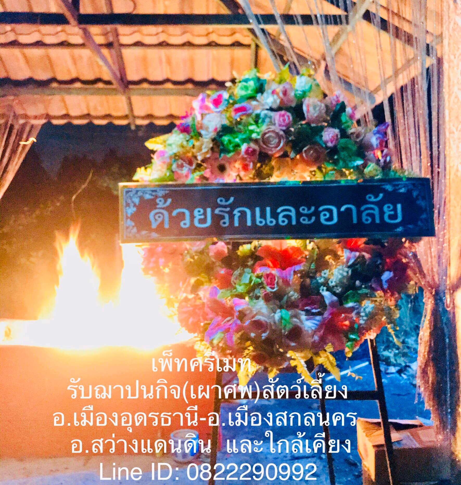ฌาปนกิจสัตว์เลี้ยง สกลนคร