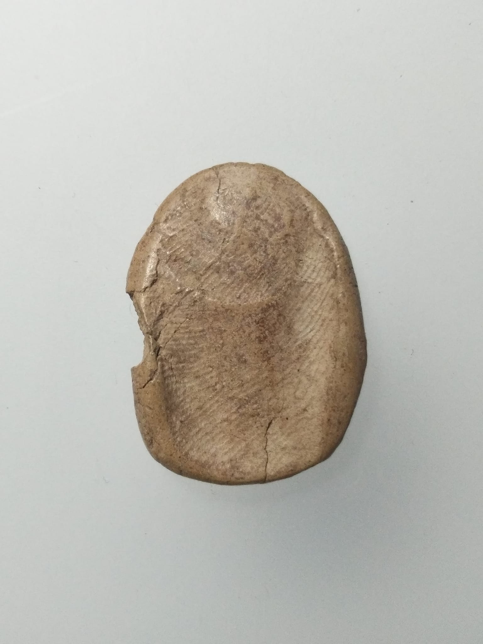 F196 ซุ้มกอ